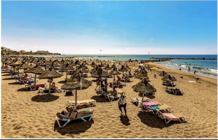Amazing 3 Bedroom Apartment On The First Line Of The Best Las Americas Beach, Air Conditioner And Terrace Ocean View Playa de las Américas Extérieur photo